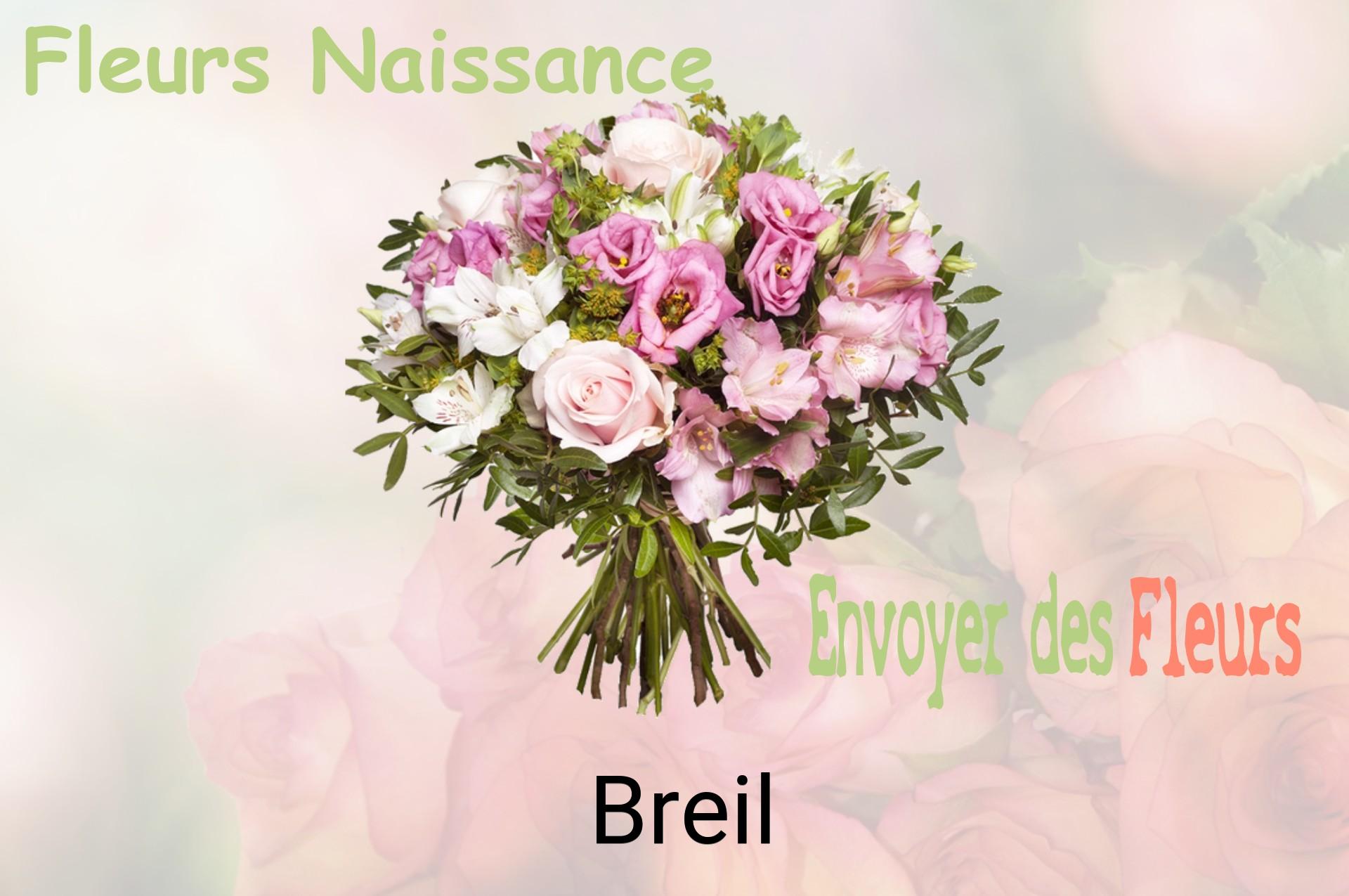Bouquet de fleurs de naissance livré à Breil