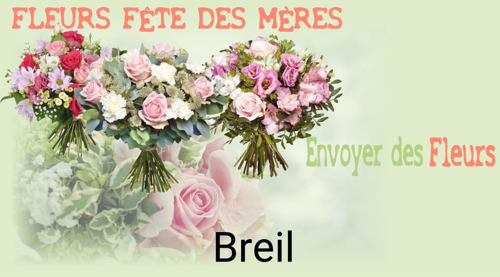 Bouquet de Fête des Mères livré à Breil